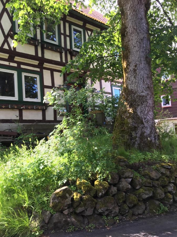 Ferienwohnung Harzblick Braunlage Exterior foto